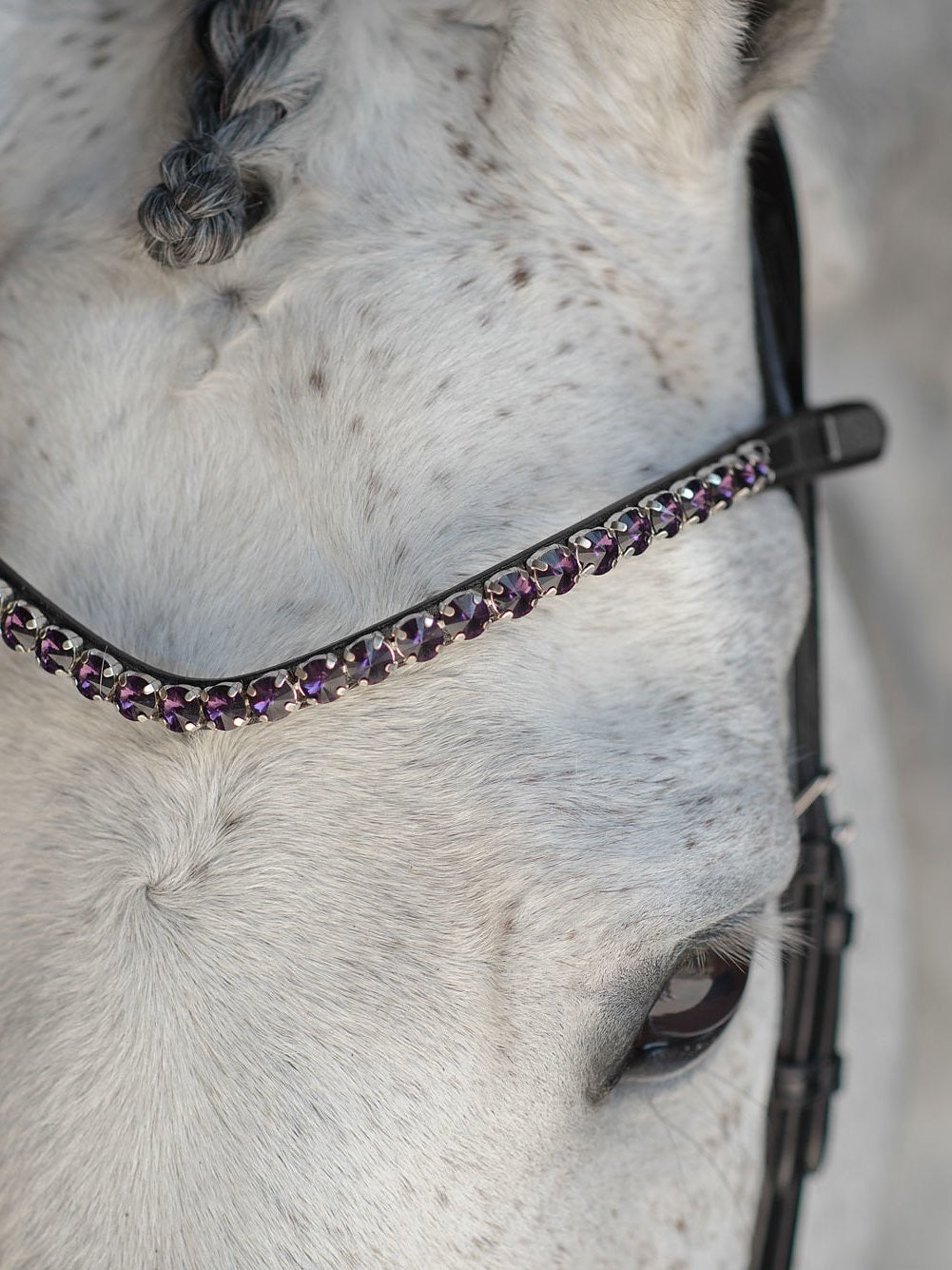 PS of Sweden Browband