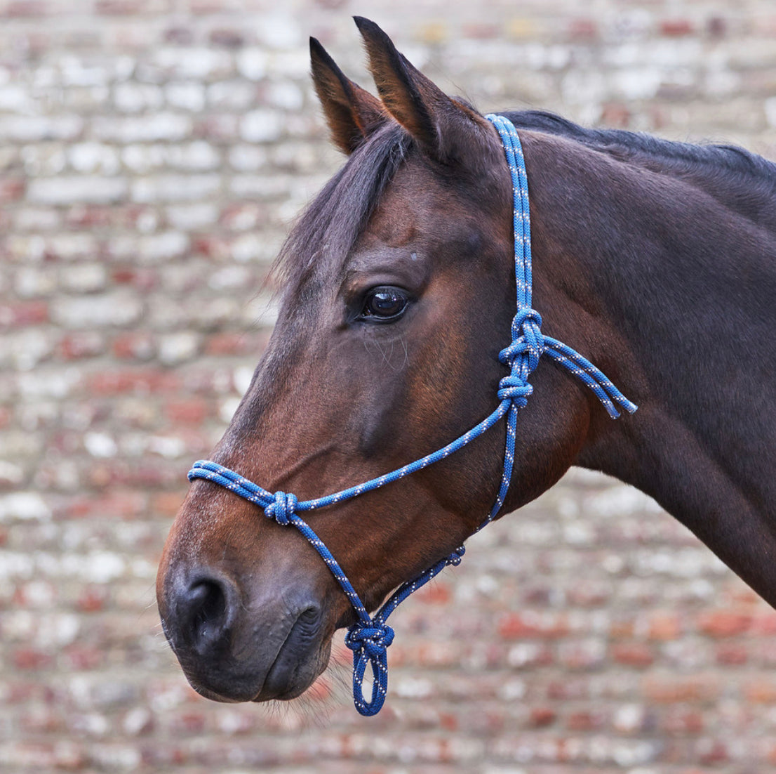 Waldhausen Rope Halter