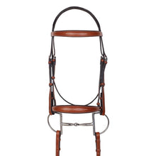 Load image into Gallery viewer, Aramas Raised Fancy Stitch Tapered Bridle