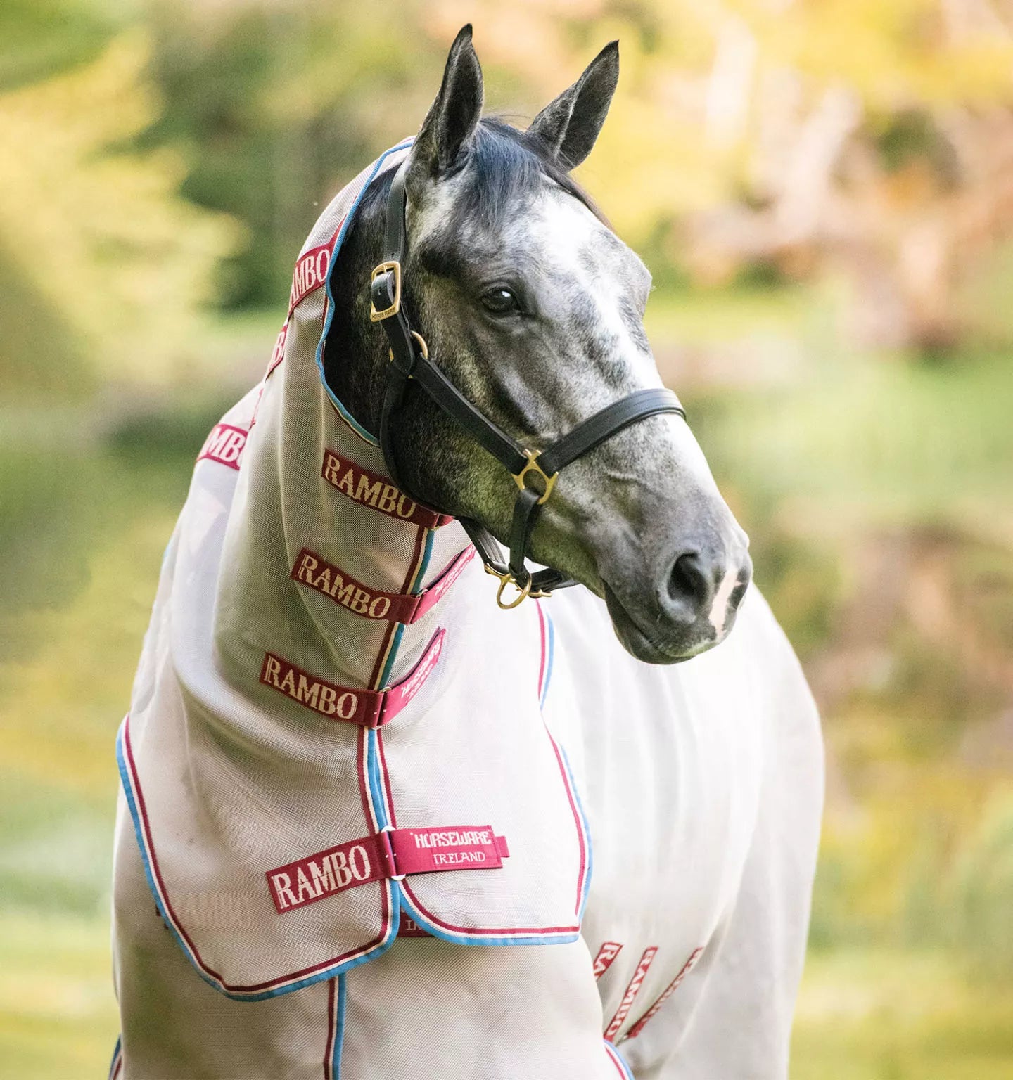 Horseware Rambo Protector - Disc Front