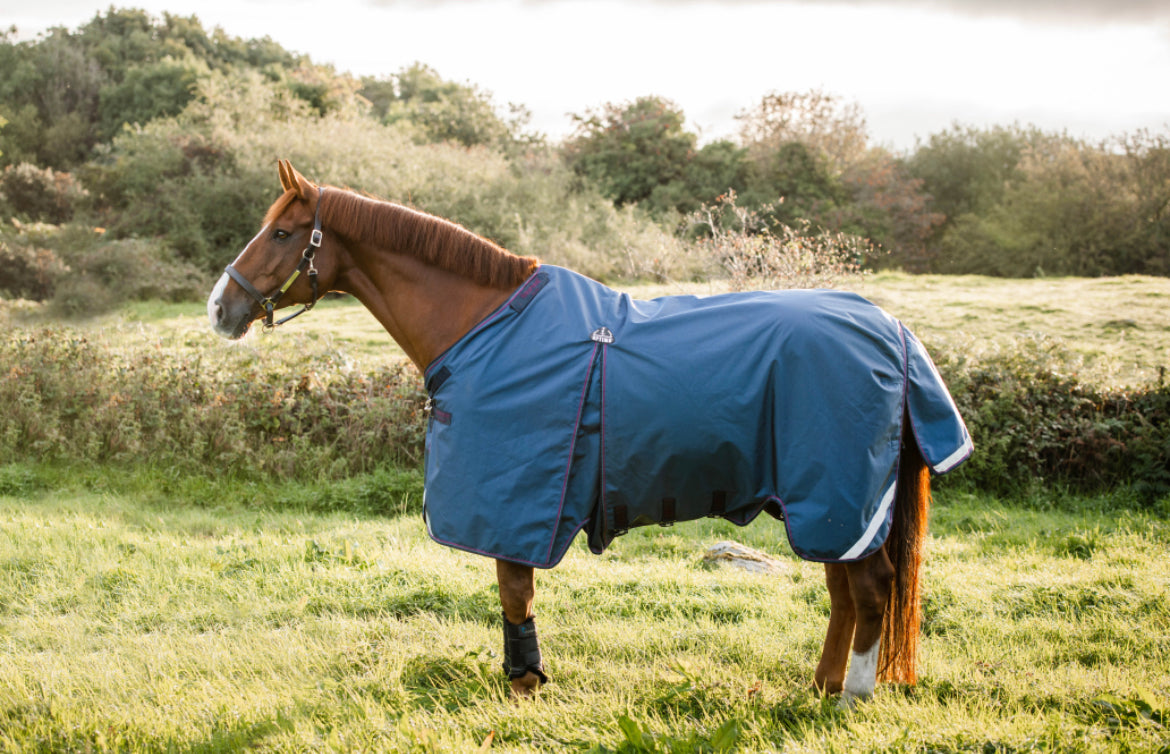 Horseware Rambo Optimo Plus Turnout Bundle