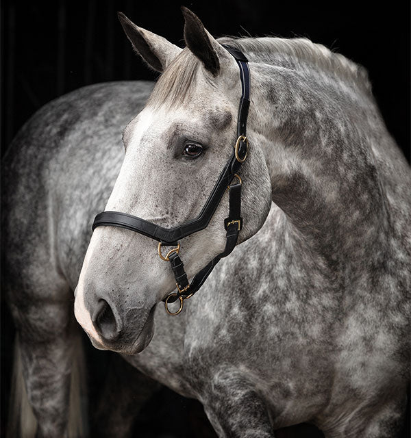 Horseware Rambo Micklem Halter