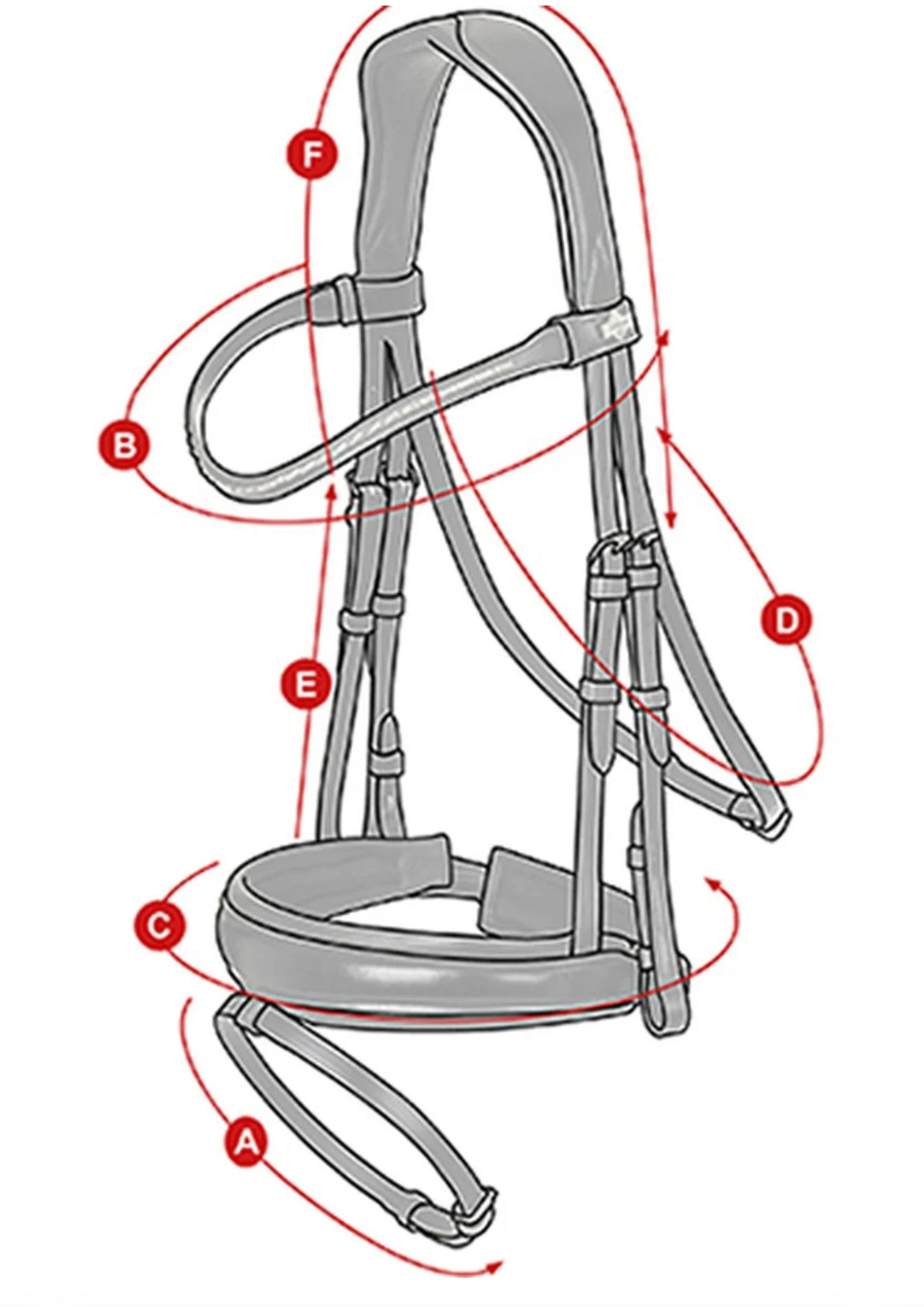 LeMieux Competition Flash Bridle