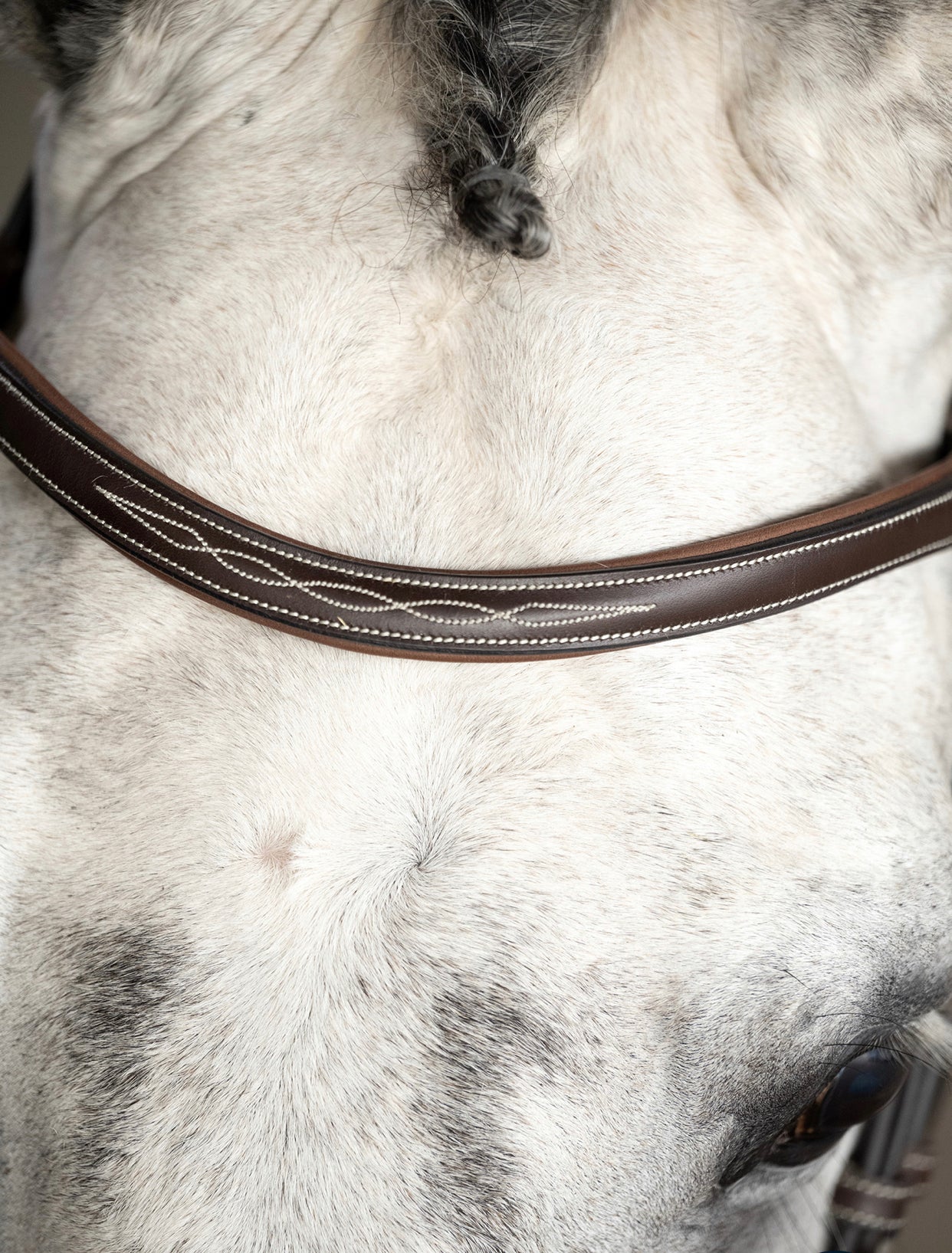 PS of Sweden Ocala Hunter Bridle