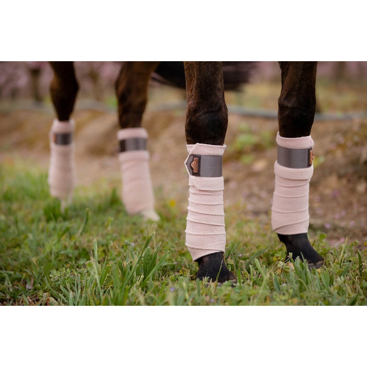 LeMieux Loire Polo Bandages