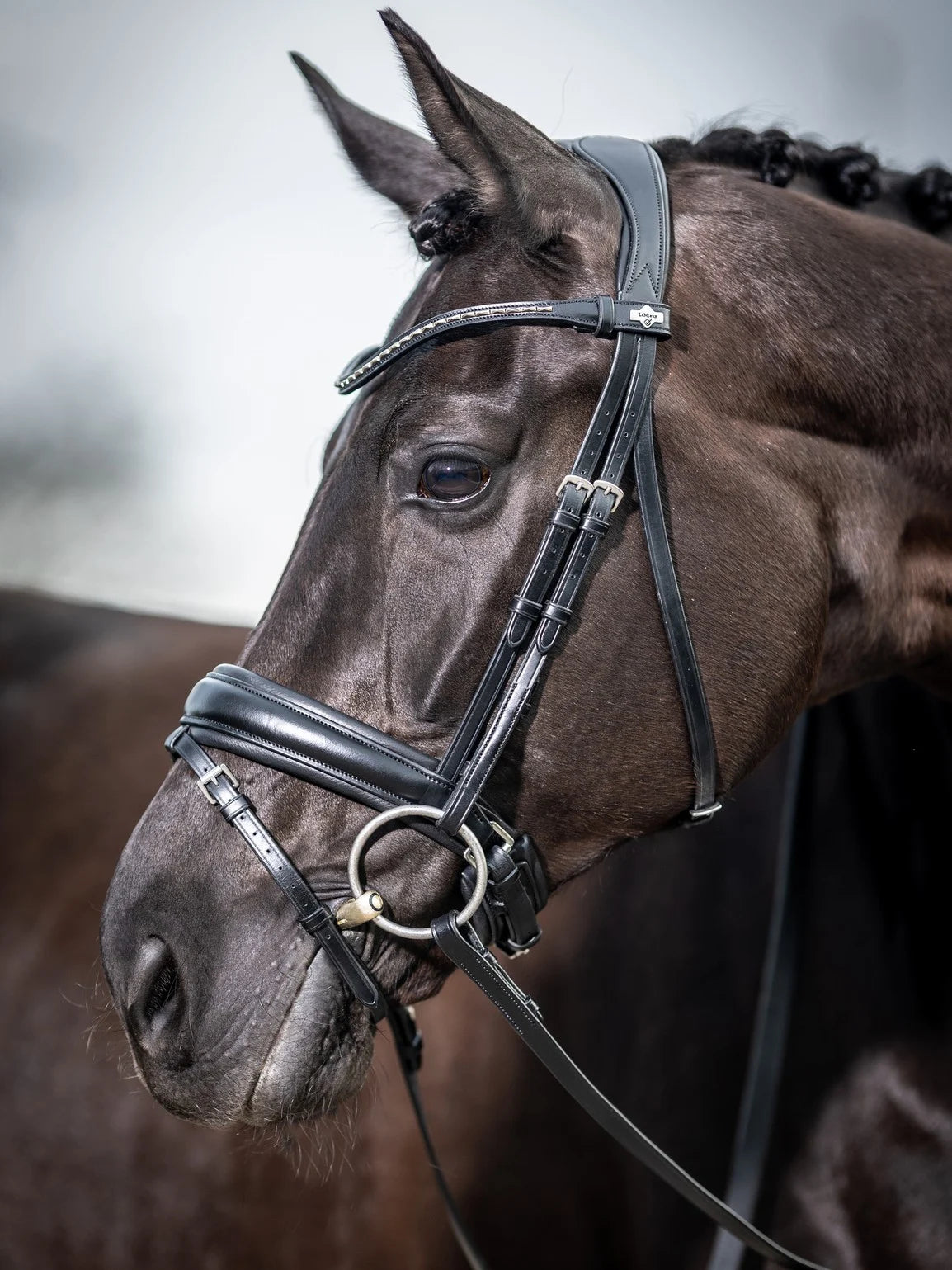 LeMieux Classic Dressage Bridle