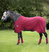 Load image into Gallery viewer, Horseware Rambo Helix Stable Sheet - Disc Front