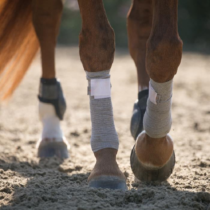 Incrediwear Equine Circulation Exercise Bandages