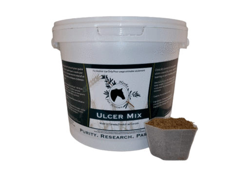 Herbs for Horses Ulcer Mix