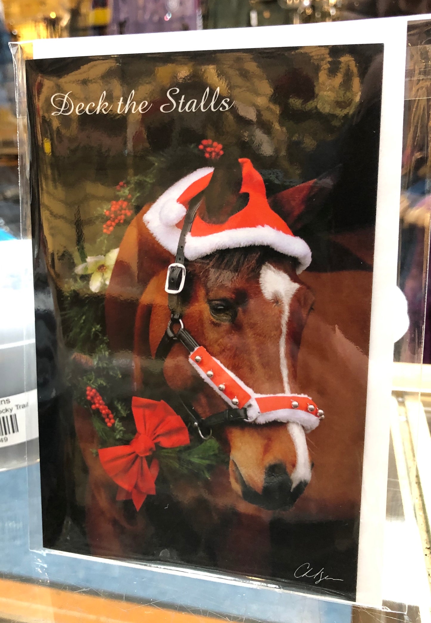 Island Horses Christmas Cards