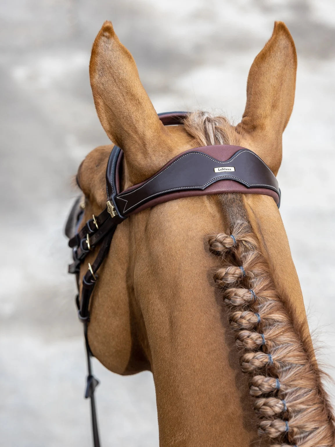 LeMieux Competition Flash Bridle