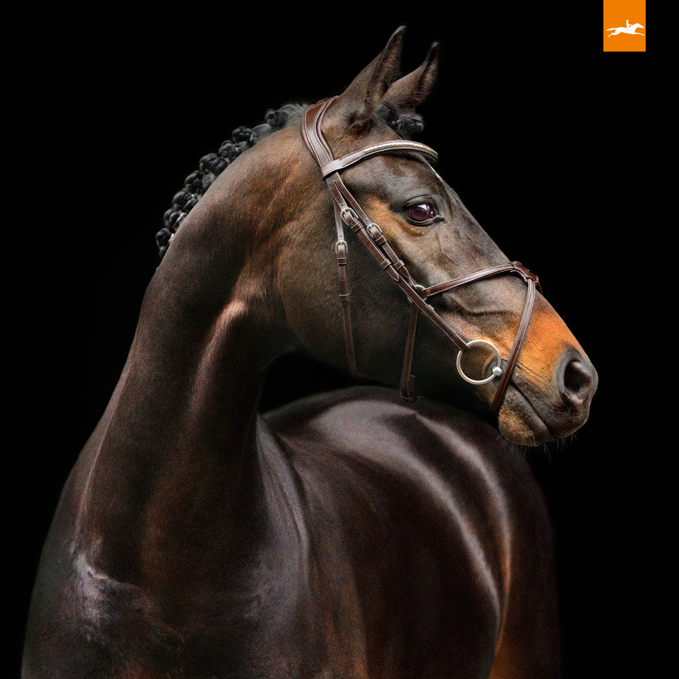 Schockemohle Rio Select Bridle