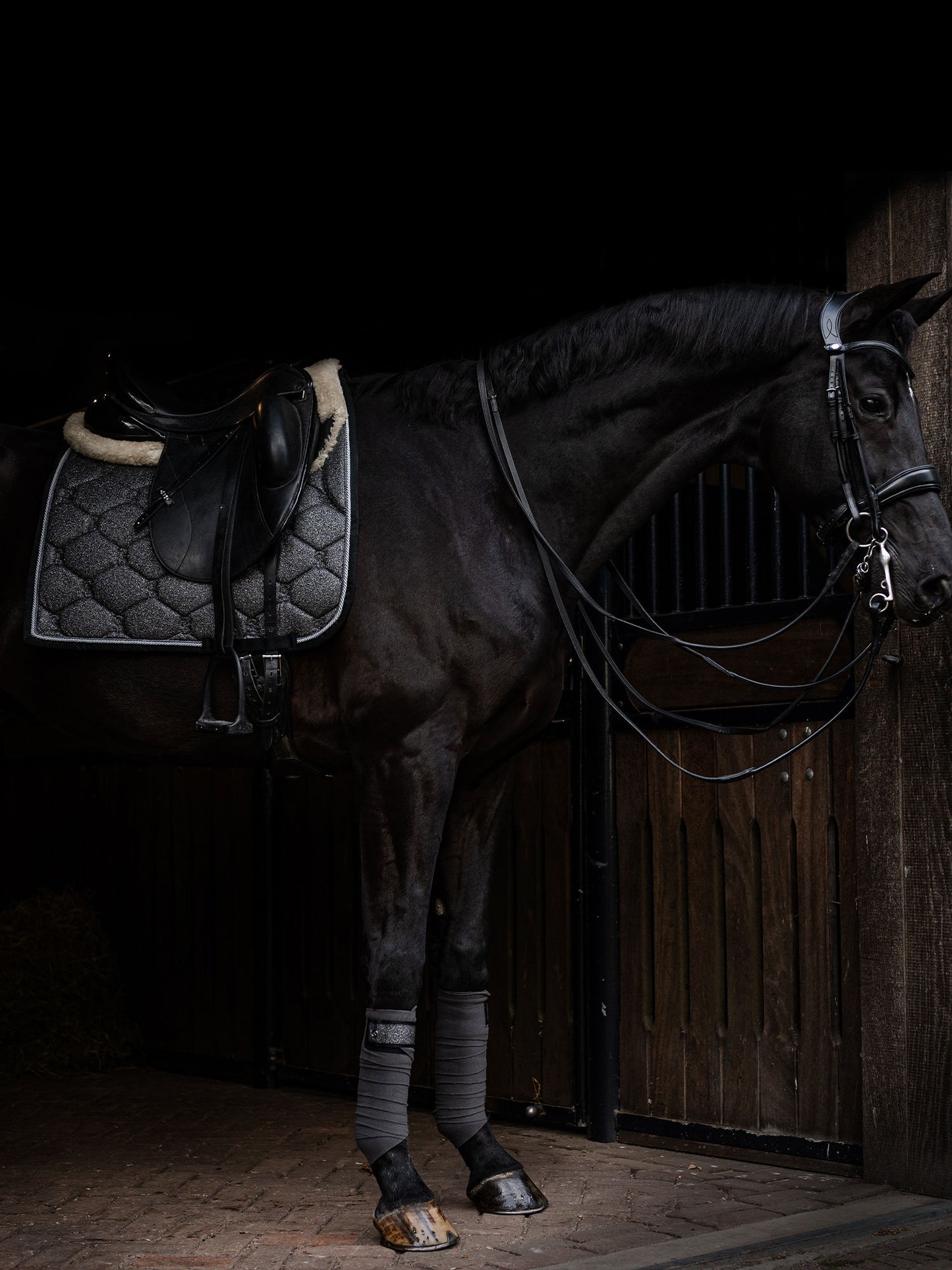 PS of Sweden Stardust Saddle Pad