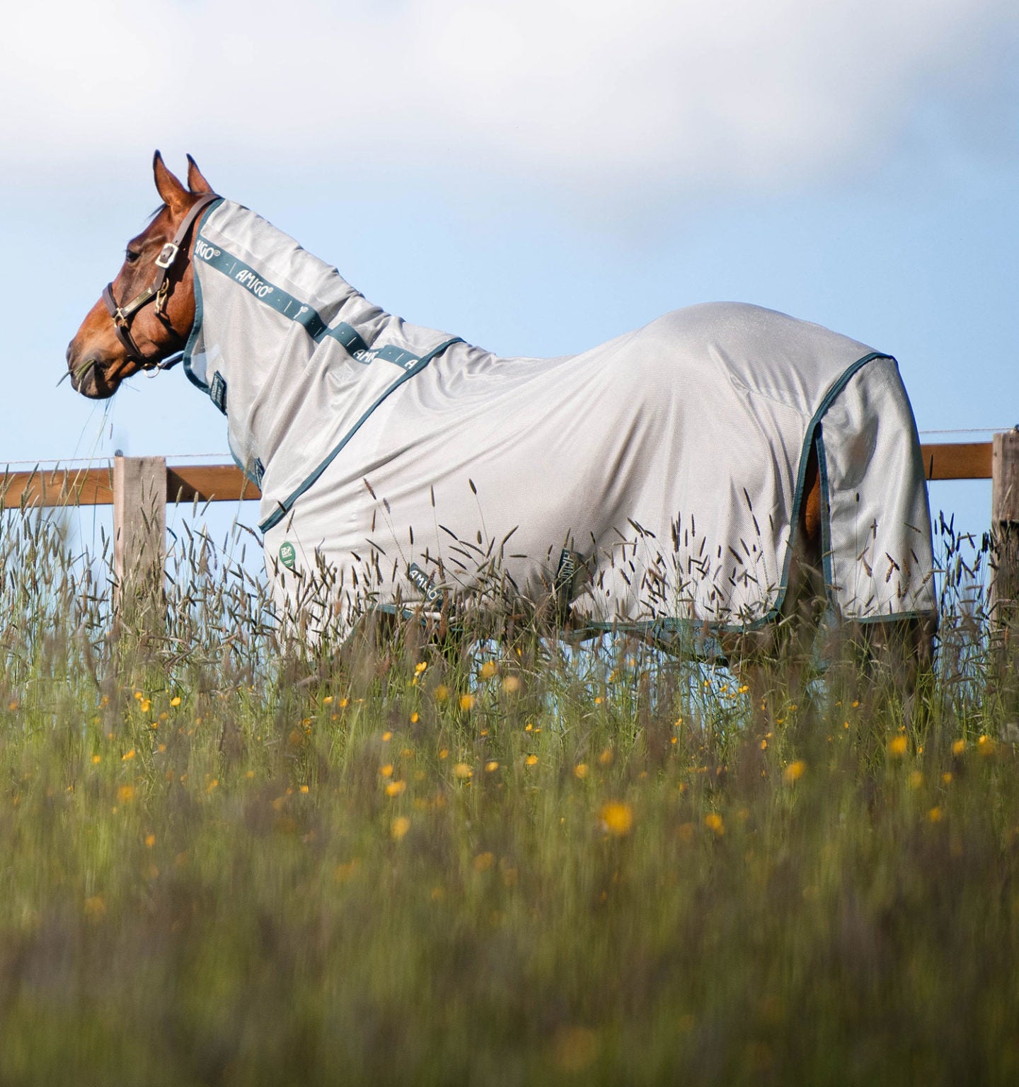 Horseware AmEco Bug Rug