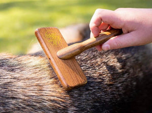 Hairy Pony Pooch Pamper Kit