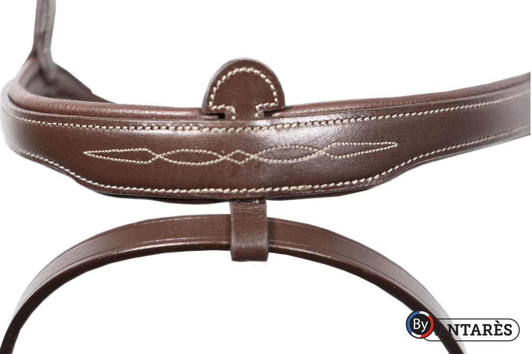 Antares Signature Flash Noseband Bridle