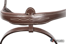 Load image into Gallery viewer, Antares Signature Flash Noseband Bridle