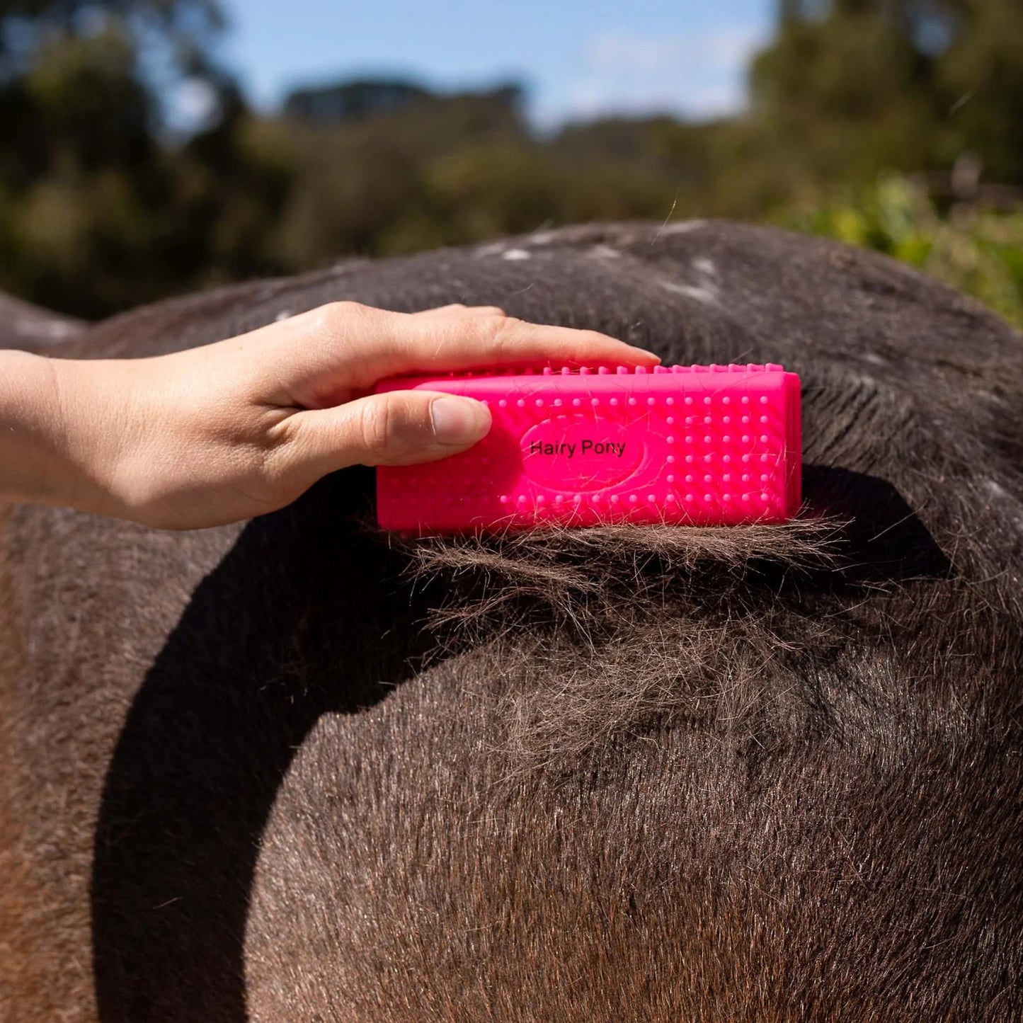 Hairy Pony Grooming Block