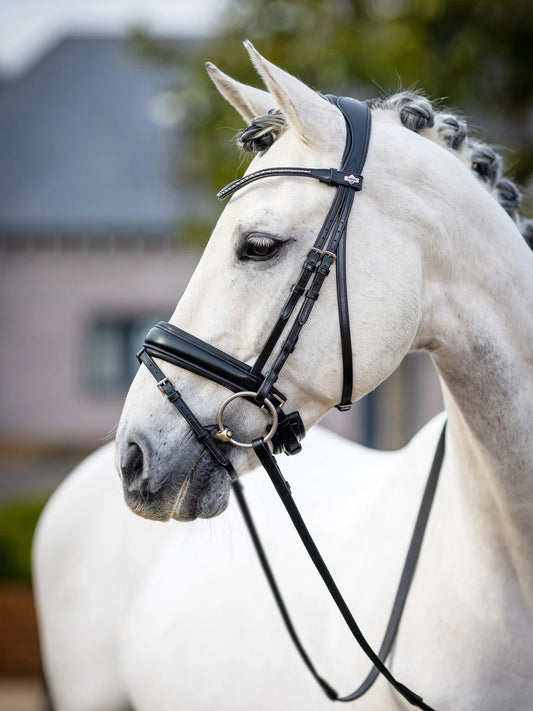 LeMieux Classic Dressage Bridle