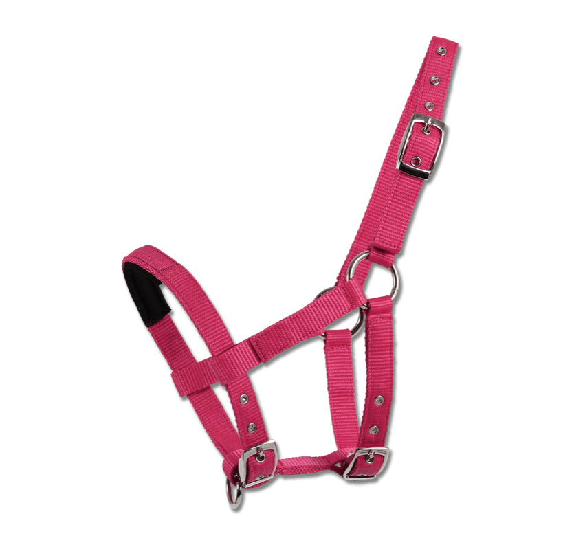 Waldhausen Mini Padded Nylon Halter