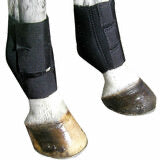 Neoprene Ankle Wrap