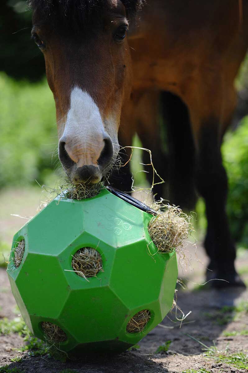 Parallax Hay Play Ball