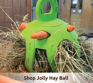 Jolly Hay Ball