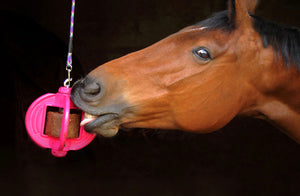 Bizzy Horse Lick 1kg