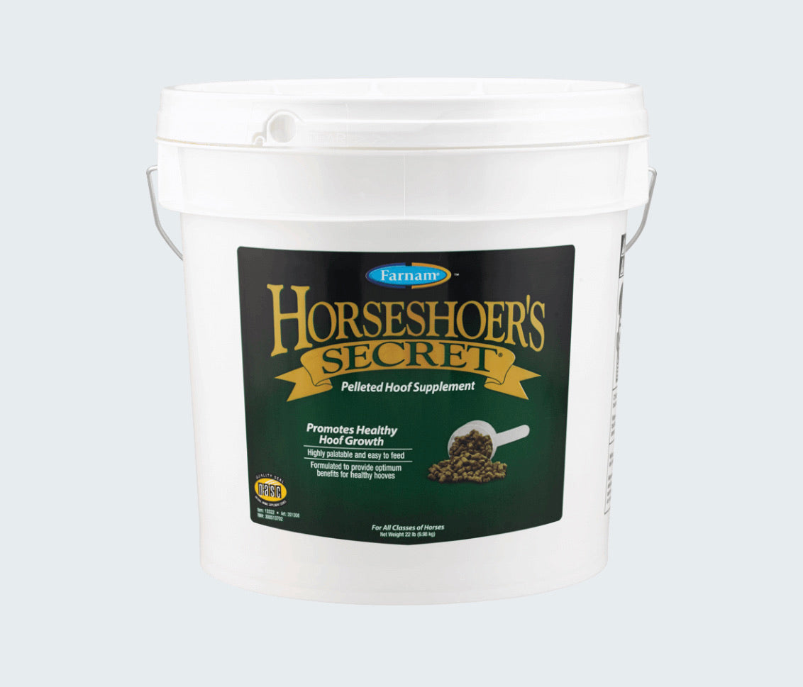 Horseshoer's Secret