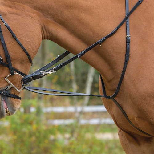 Camelot German Martingale