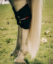 Load image into Gallery viewer, Incrediwear Equine Circulation Hock Boot