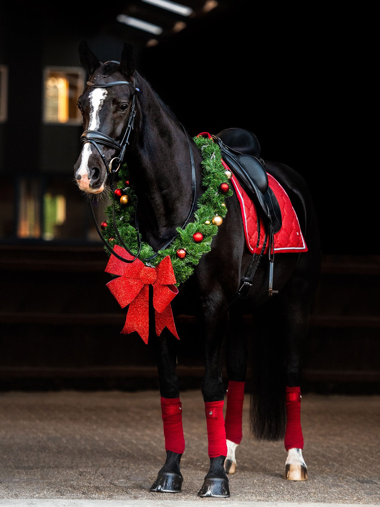 PS of Sweden Stardust Saddle Pad