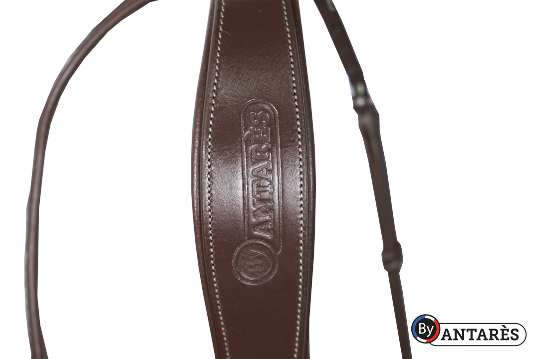 Antares Signature Flash Noseband Bridle