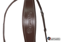 Load image into Gallery viewer, Antares Signature Flash Noseband Bridle