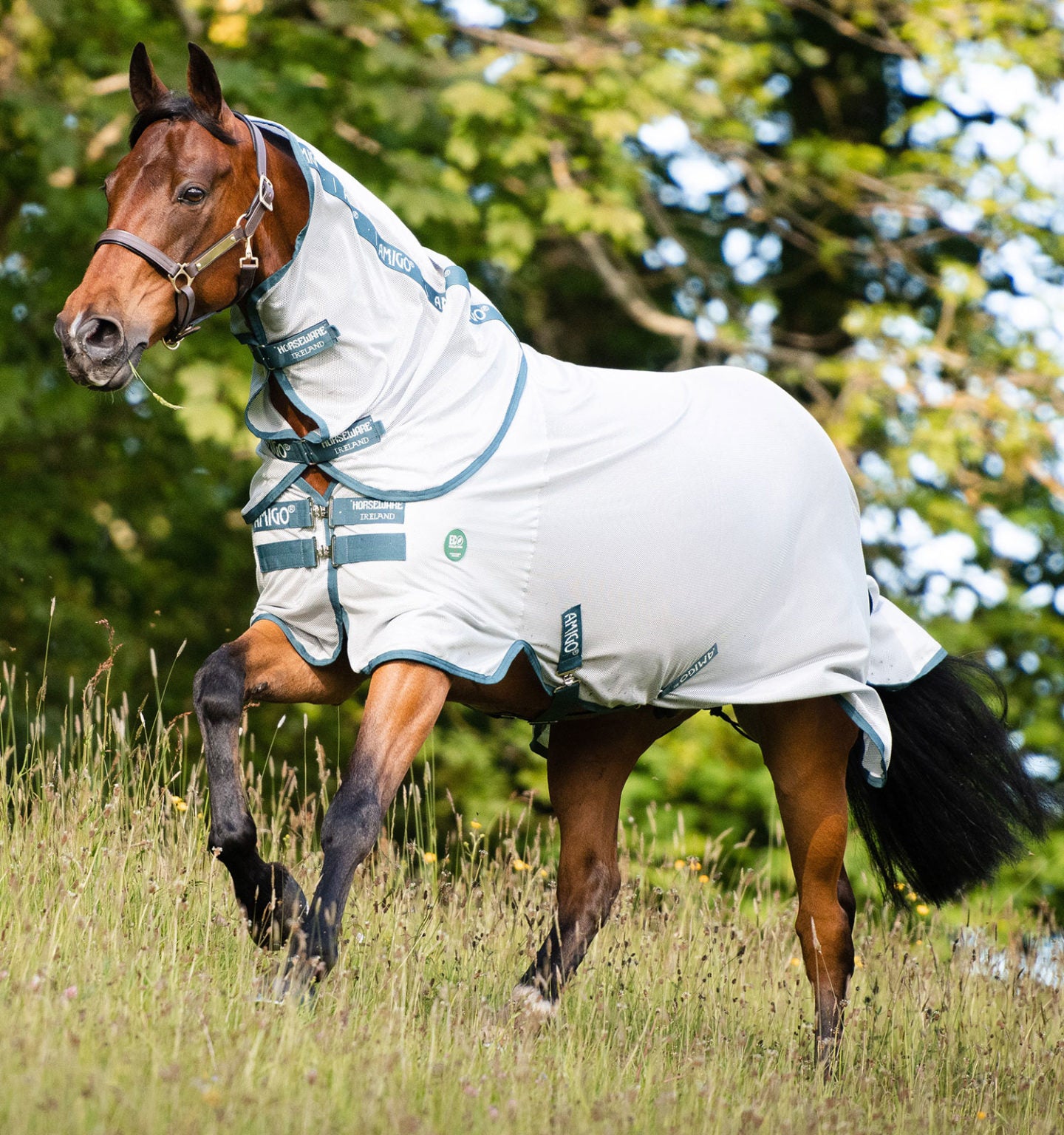 Horseware AmEco Bug Rug