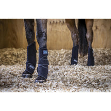 Load image into Gallery viewer, LeMieux Tendon Chill Boots