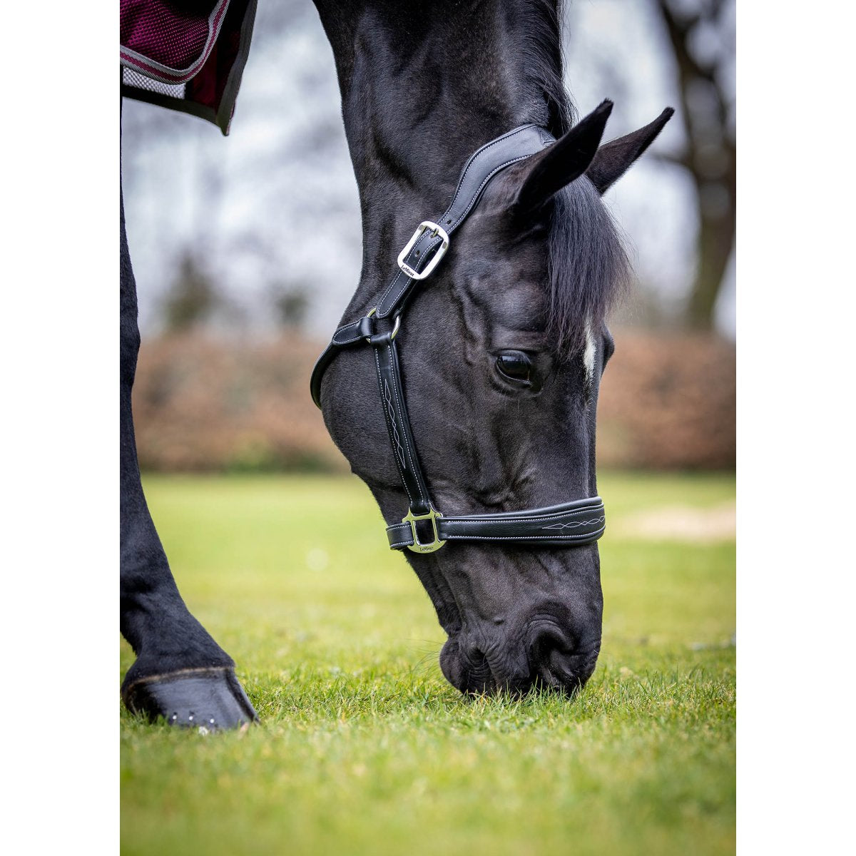 LeMieux Fancy Stitch Halter