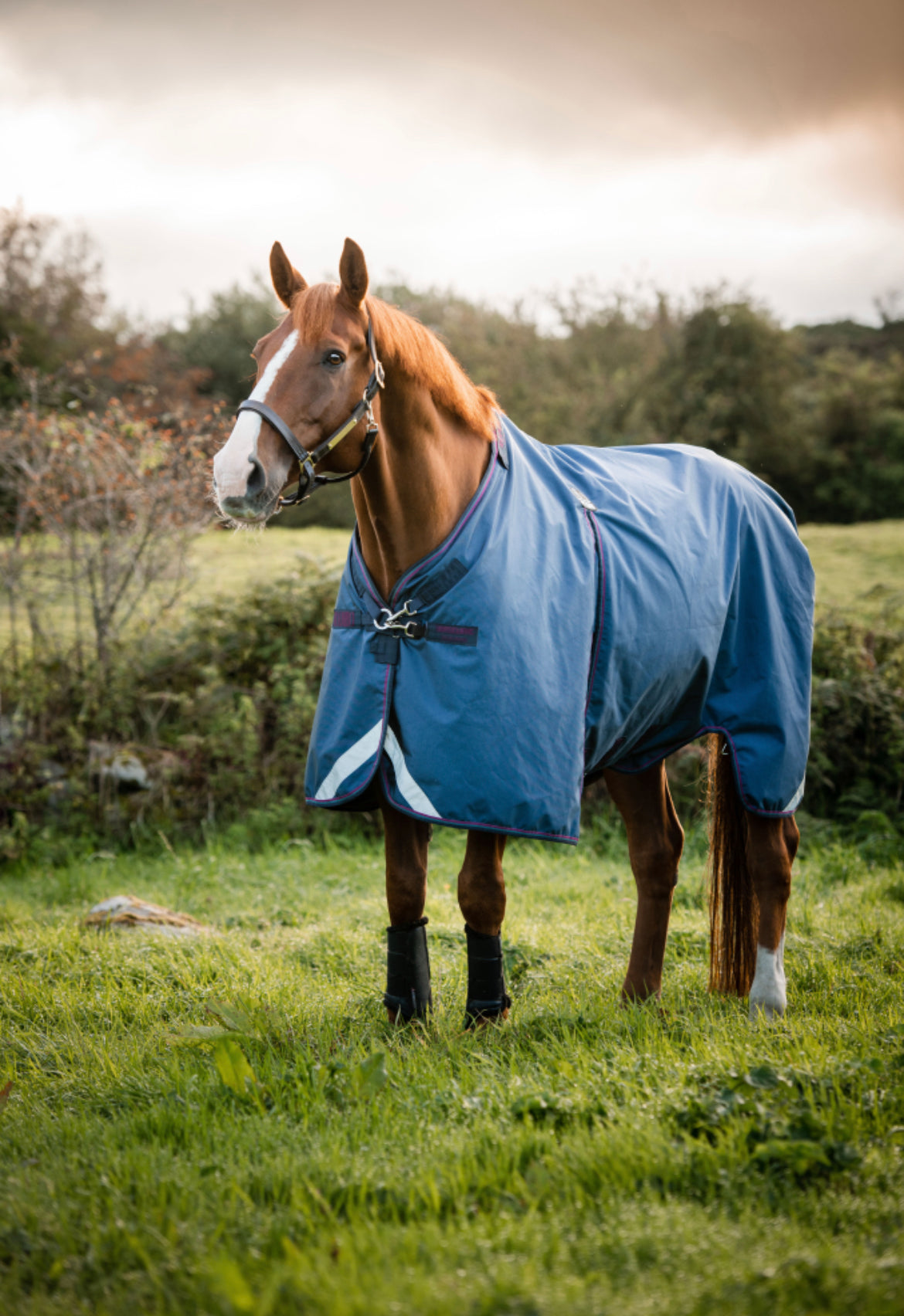 Horseware Rambo Optimo Plus Turnout Bundle