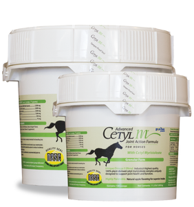 ADVANCED CETYL M® JOINT ACTION FORMULA FOR HORSES (GRANULAR FORM) 11.2LB