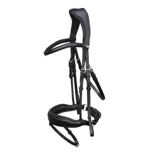 Schockemohle Stanford Dressage Bridle